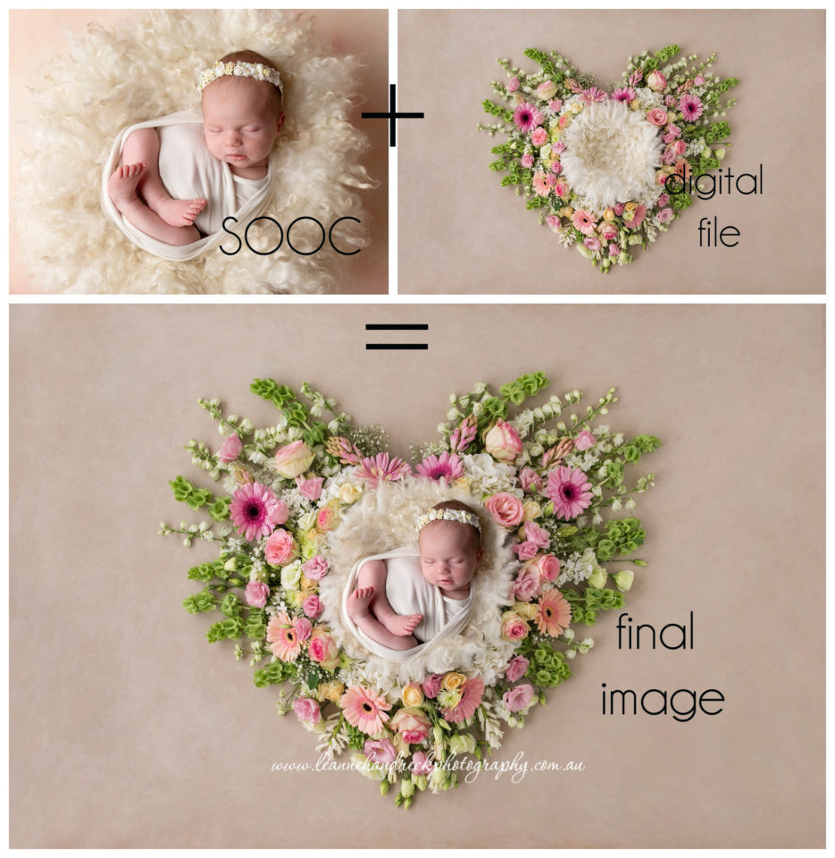 Newborn Photographer Gold Coast - Leanne Handreck Photography